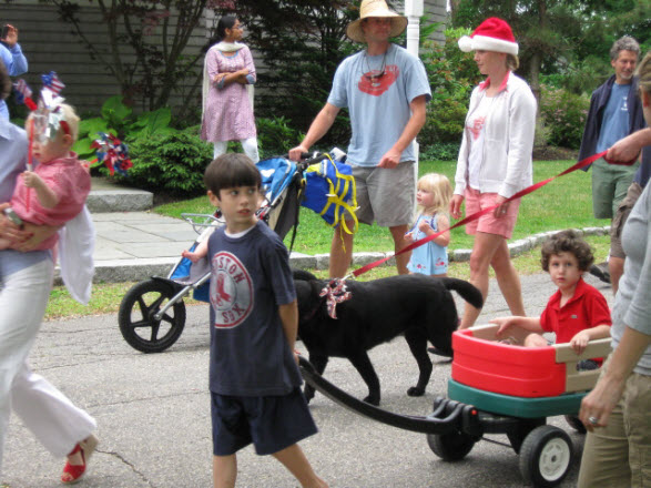Dog parade 2